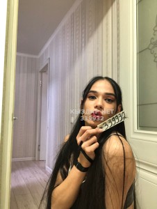 Транс Туркестана Транс№339932 Царица Фотография №2654504