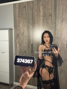 Транс Алматы Транс№374367 Дует дикий кошек Фотография №2902515