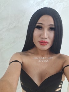 Транс Шымкента Транс№477955 Сиви новинкая Фотография №3701170