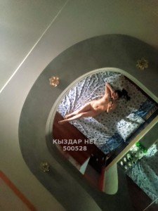 Проститутка Петропавловска Анкета №500528 Фотография №3763291