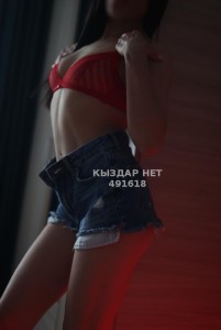 Проститутка Астаны Девушка№491618 Баян-individualka Фотография №3778151